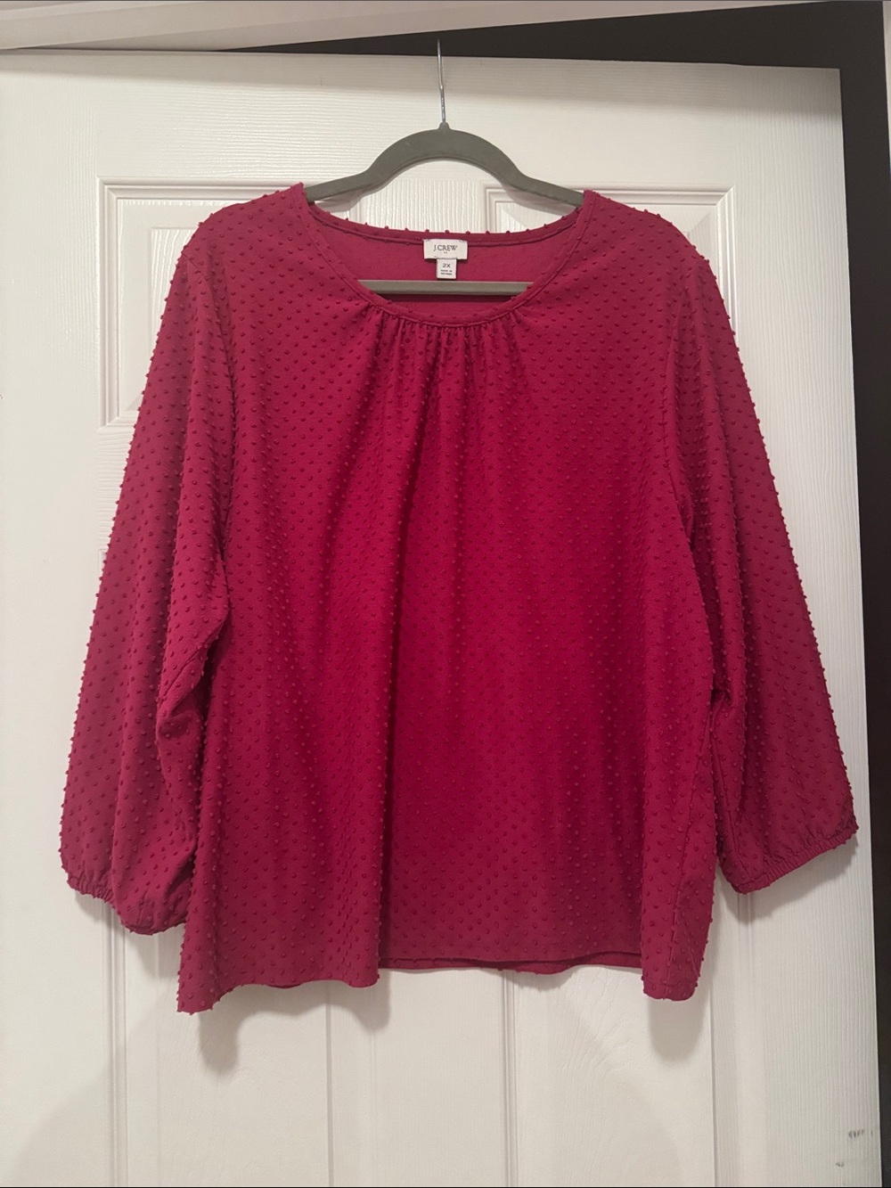 J. Crew Raspberry Textured Swiss Dot Long Sleeve Blouse